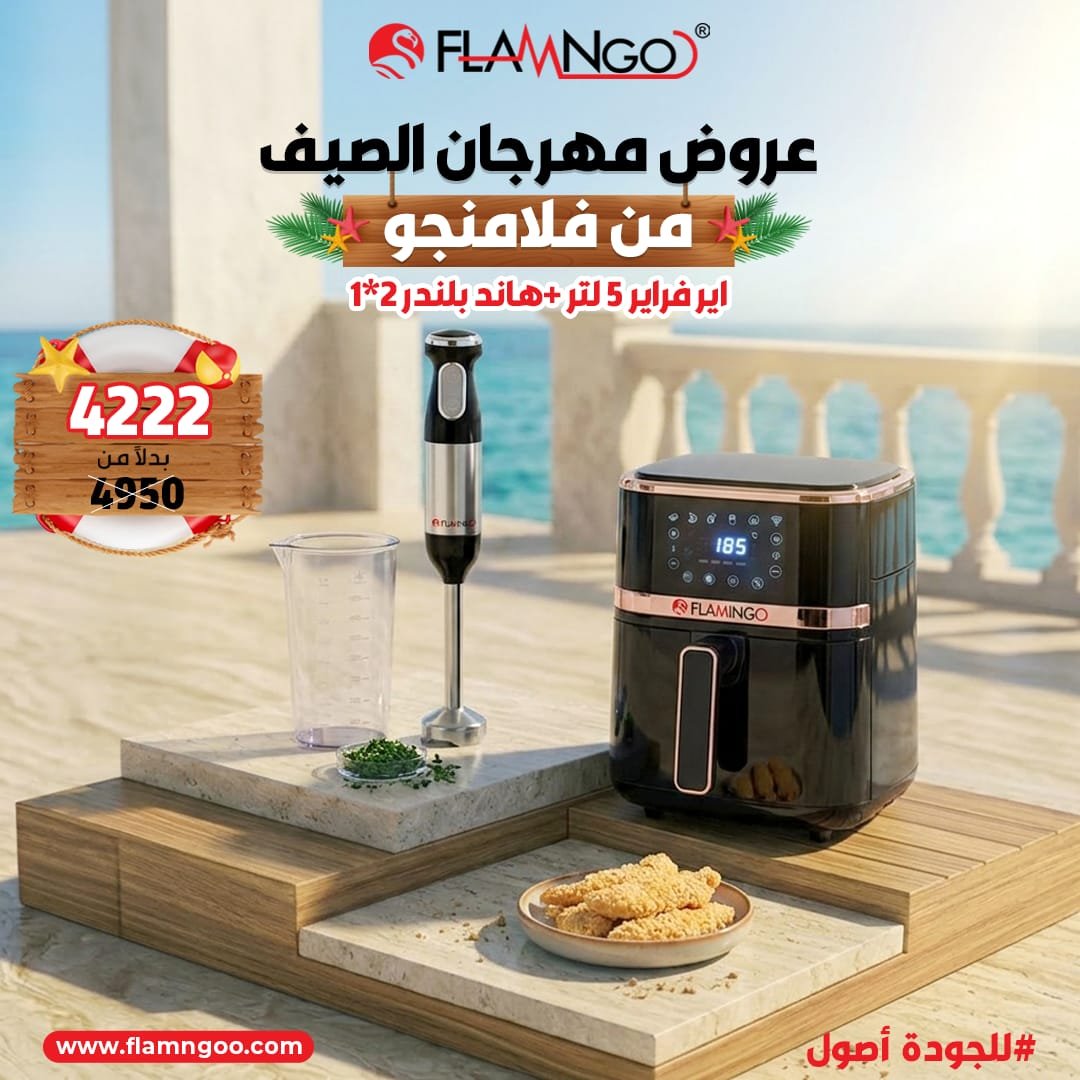 عرض الصيف من فلامنجو اير فراير 5 لتر + هاند بلندر 2*1