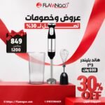 هاندبلندر 3*1 600 وات