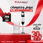 هاندبلندر 2*1 (هاندبلندر _ وعاء 500 مل)