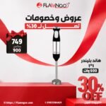 هاند بلندر استانلس 600 وات – سهل الاستخدام وقوي الأداء | Flamngoo