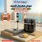 عرض الصيف من فلامنجو اير فراير 5 لتر + هاند بلندر 2*1